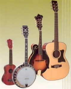 acousticinstruments
