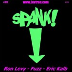 Spank! live album is another fine offering from Boston blues keyboardist Ron Levy