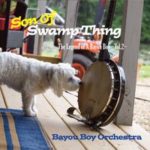 Bayou Boy Orchestra provide plenty of tasty country, Louisiana, blues flavor on Son Of Swamp Thing